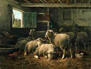 unknow artist Sheep 098 oil painting reproduction